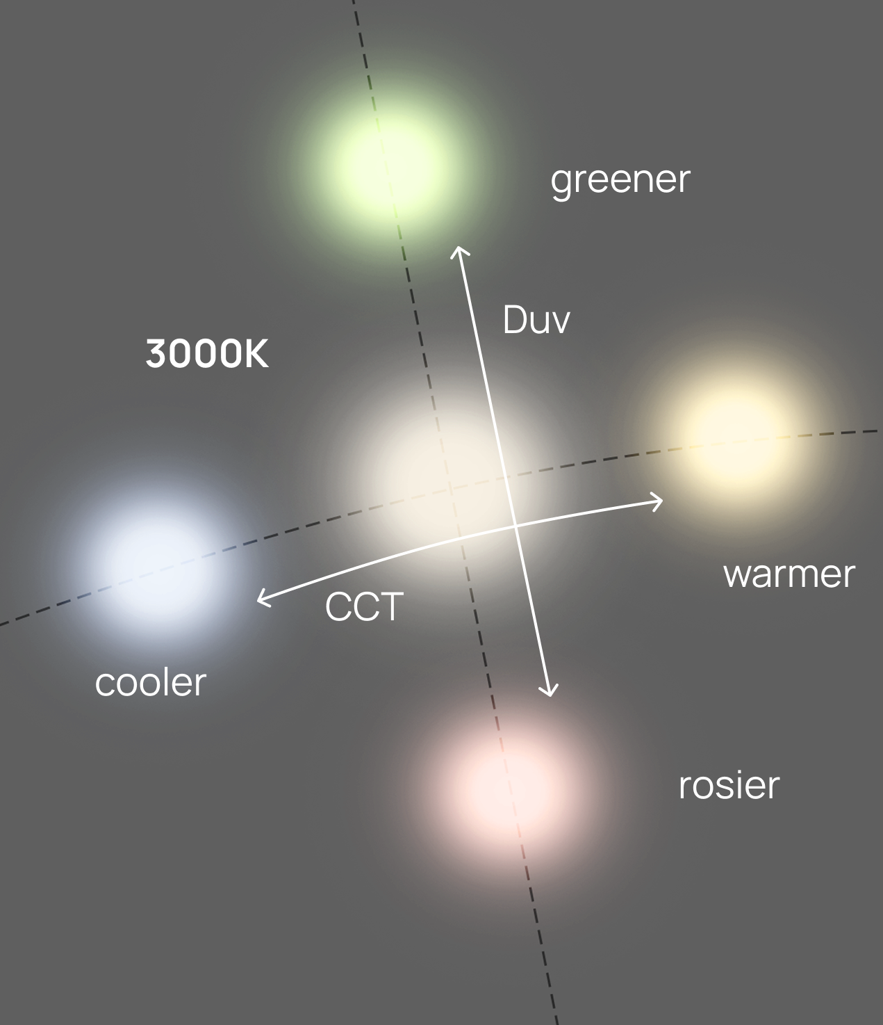 Why Color Accuracy in Lighting Matters More Than You Think
